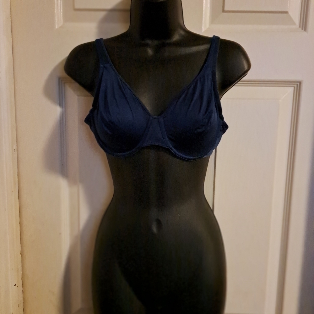 Sears 38C bra